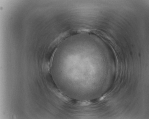 X0000063530621200601271902