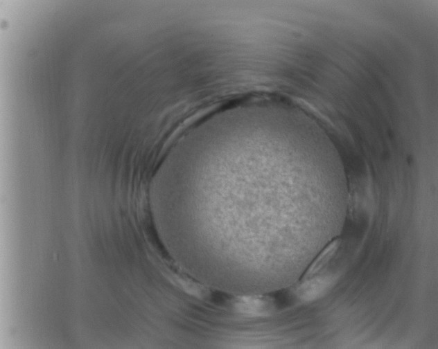 X0000063530623200601271902