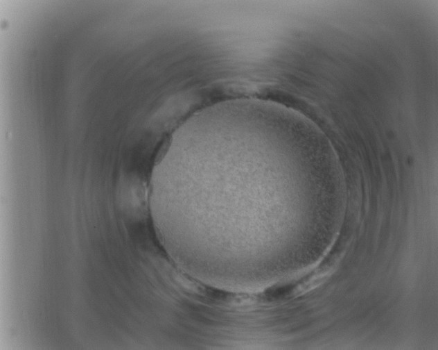 X0000063530624200601271902