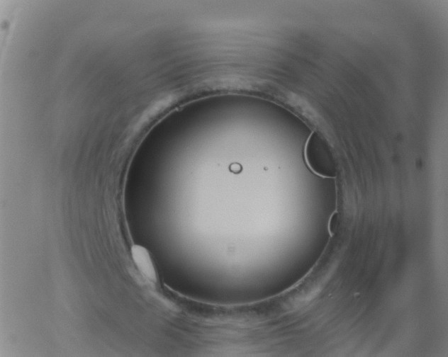 X0000063530625200601271902