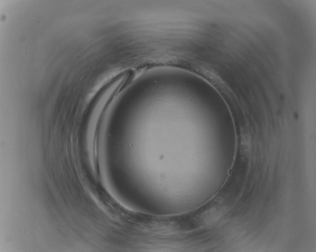 X0000063530626200601271902