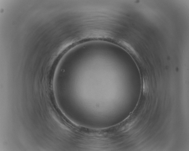 X0000063530627200601271902