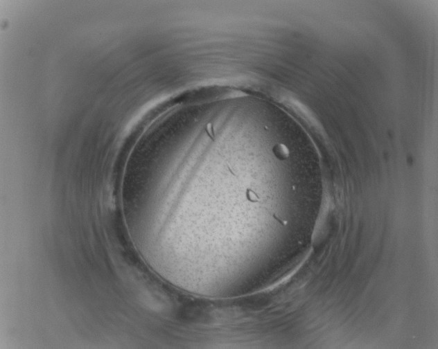 X0000063530628200601271902