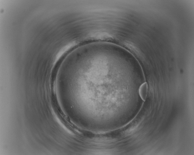 X0000063530630200601271902