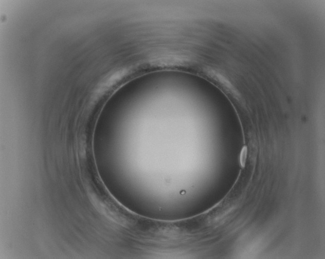 X0000063530631200601271902