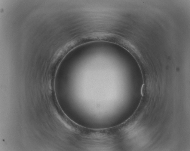 X0000063530633200601271902