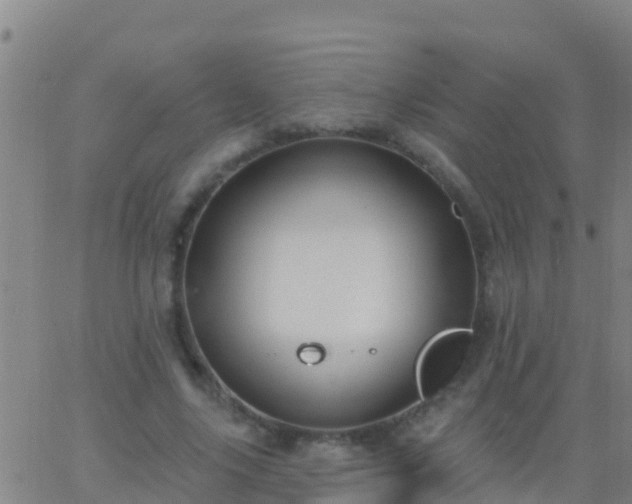 X0000063530635200601271902