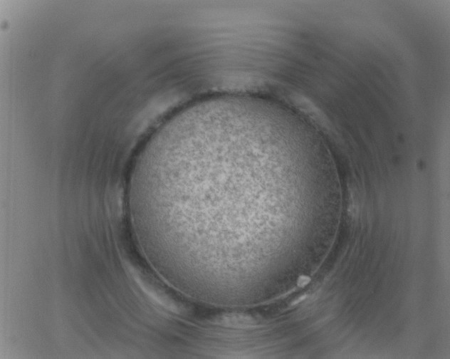 X0000063530636200601271902