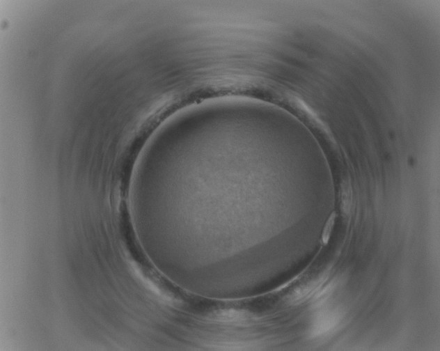 X0000063530637200601271902