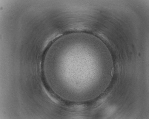 X0000063530638200601271902