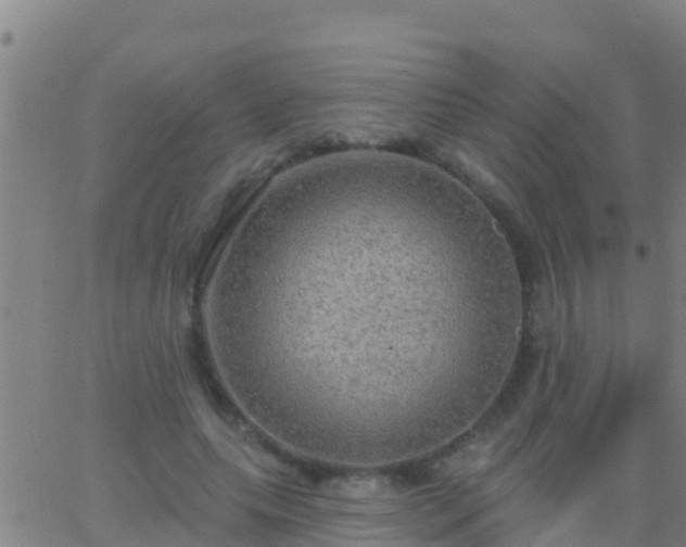 X0000063530639200601271902