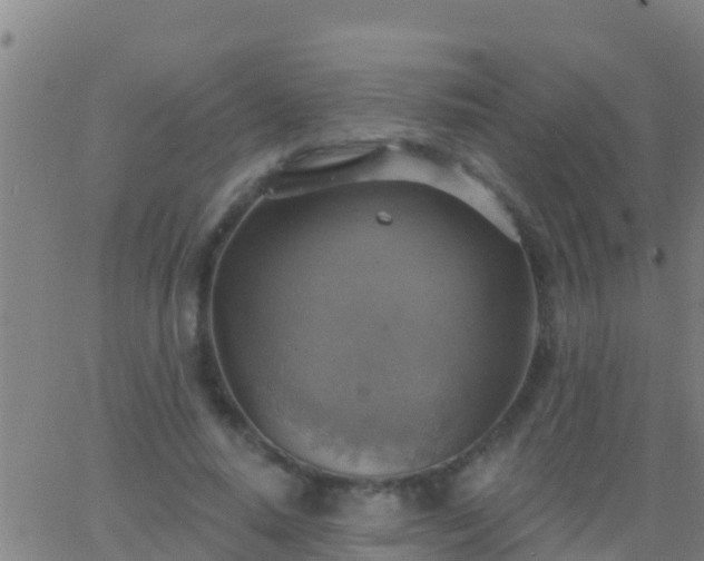 X0000063530640200601271902