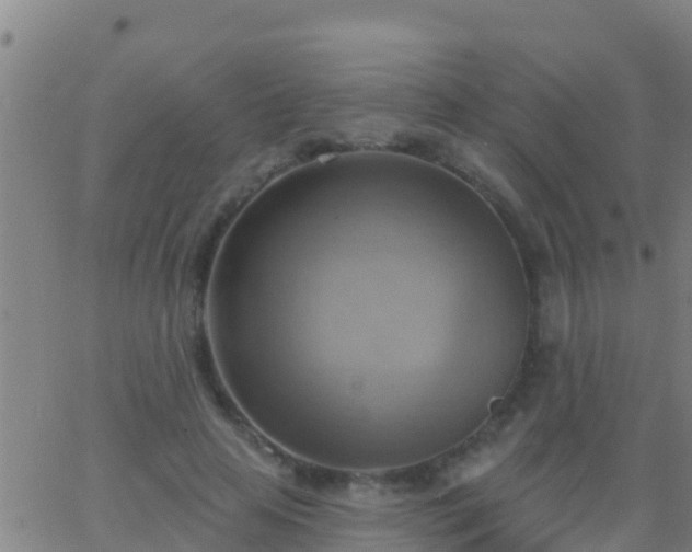 X0000063530641200601271902