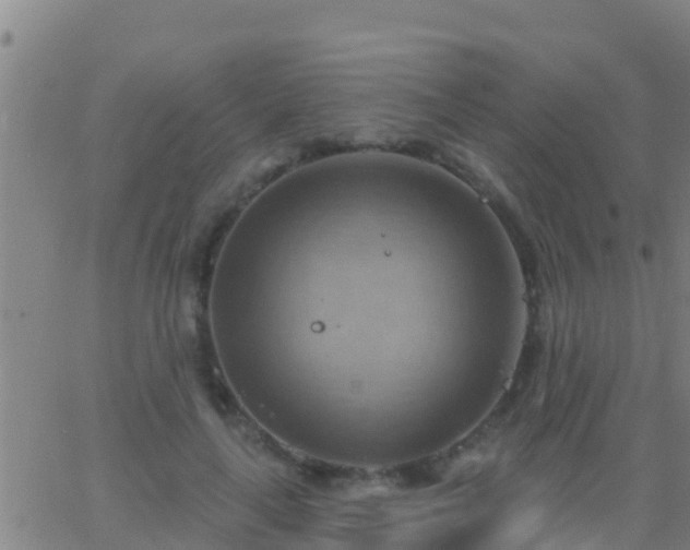 X0000063530643200601271902