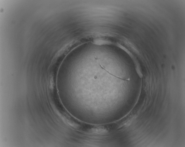 X0000063530644200601271902