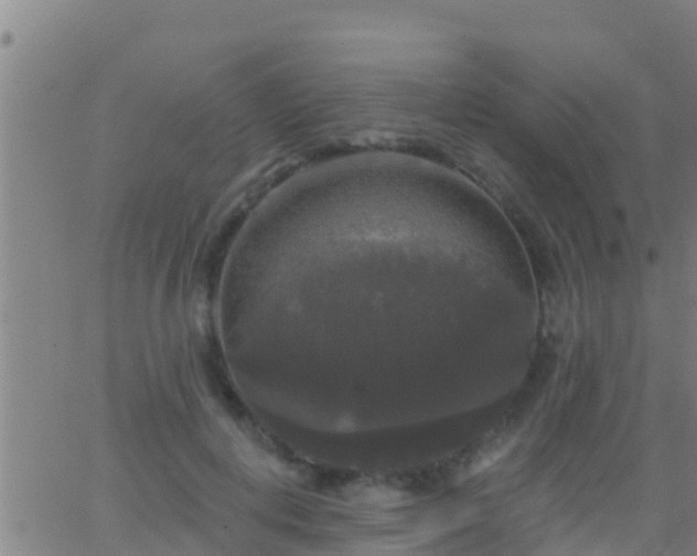 X0000063530648200601271902