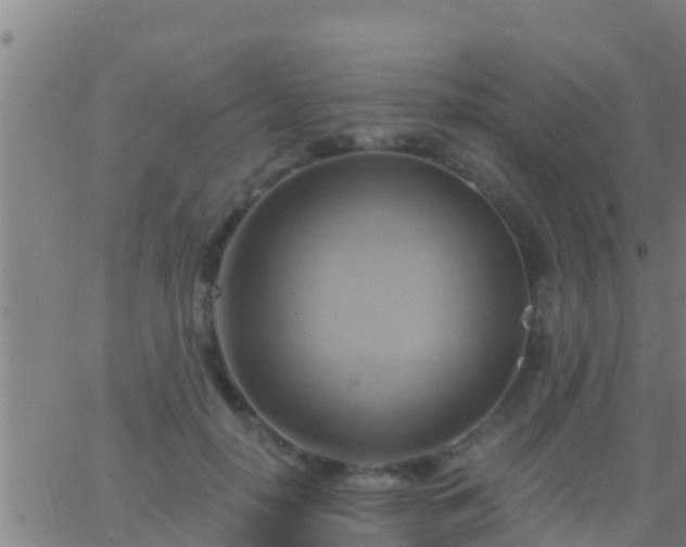 X0000063530650200601271902