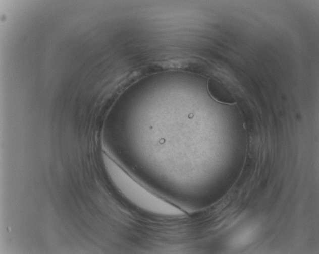 X0000063530652200601271902