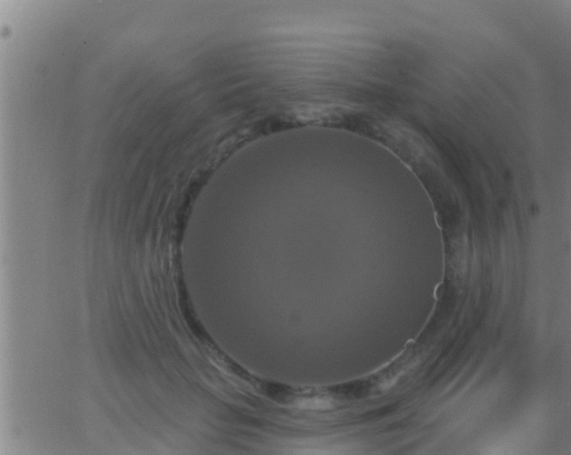 X0000063530653200601271902