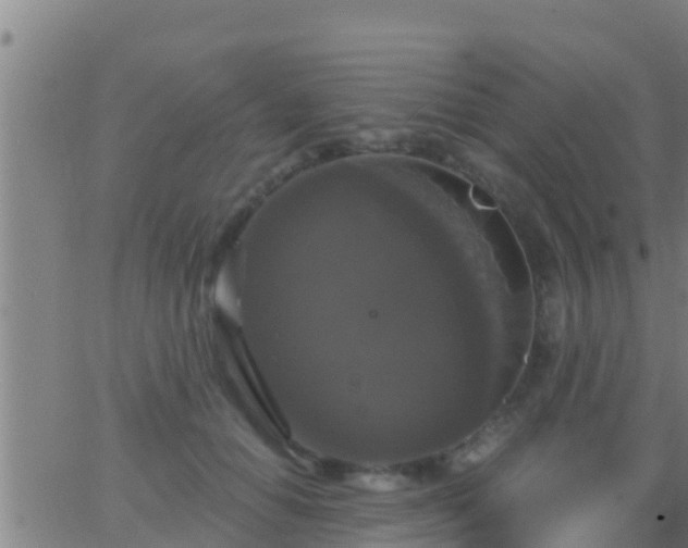 X0000063530654200601271902