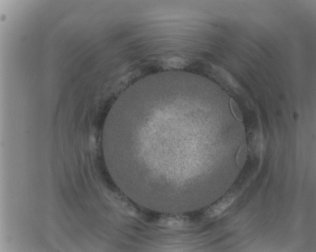 X0000063530655200601271902