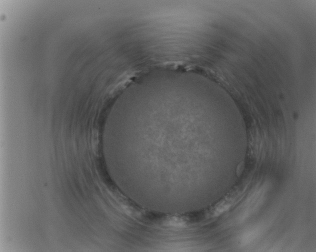 X0000063530656200601271902