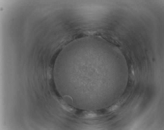 X0000063530658200601271902