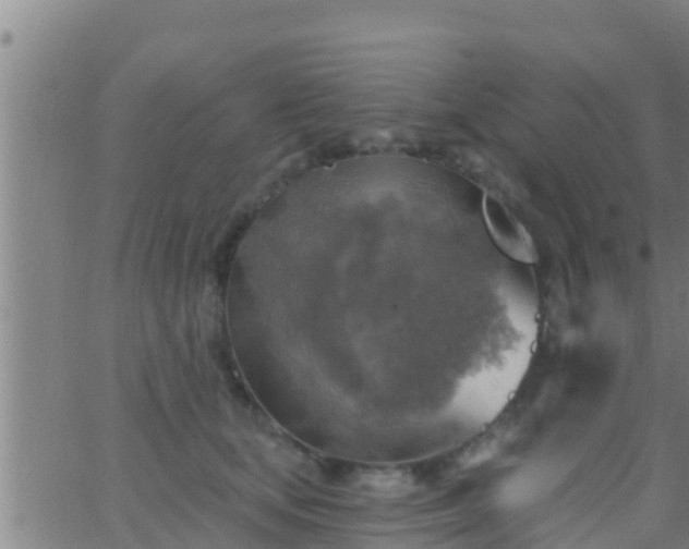 X0000063530659200601271902