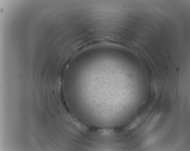 X0000063530660200601271902