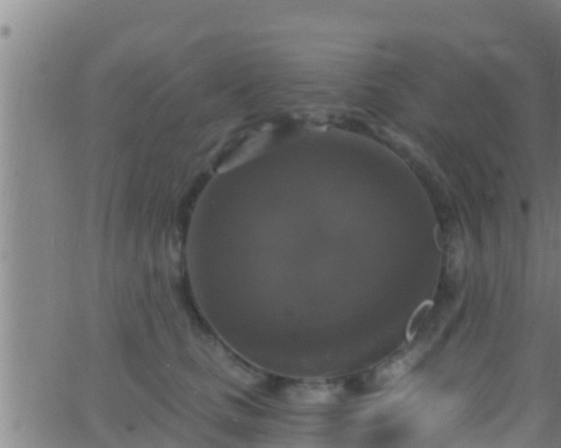 X0000063530661200601271902