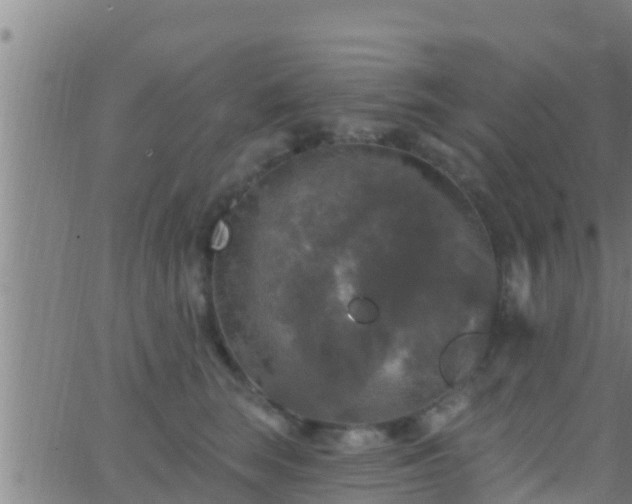 X0000063530663200601271902