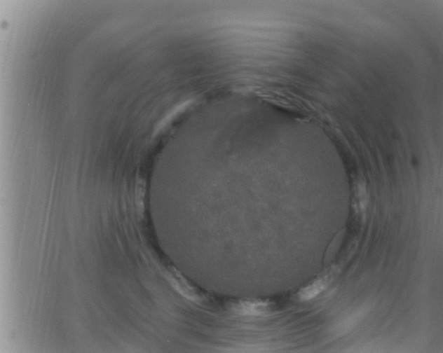 X0000063530664200601271902