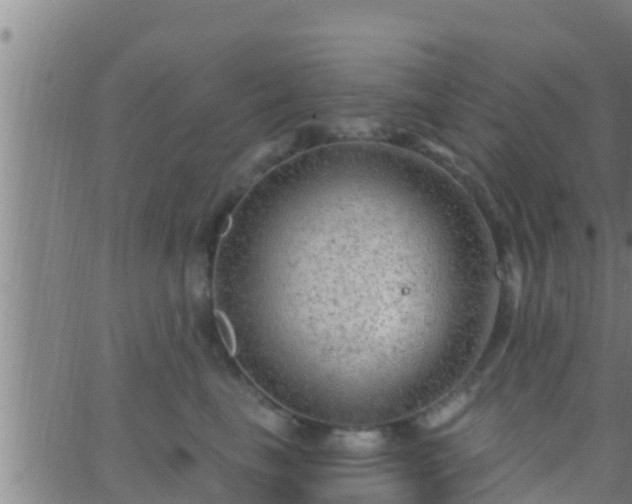 X0000063530665200601271902