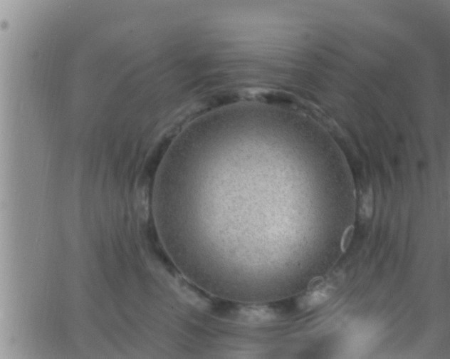 X0000063530666200601271902