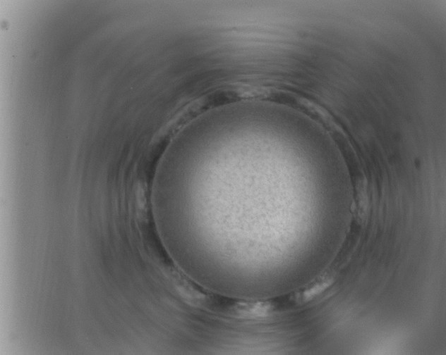 X0000063530667200601271902