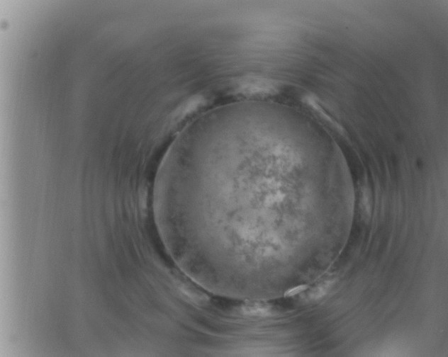 X0000063530668200601271902