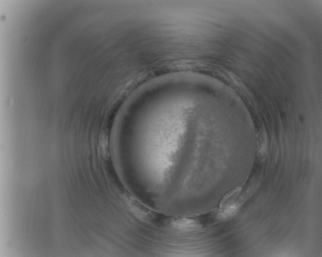 X0000063530669200601271902