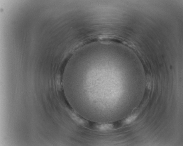 X0000063530670200601271902