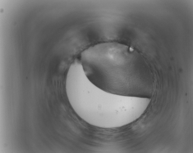 X0000063530672200601271902