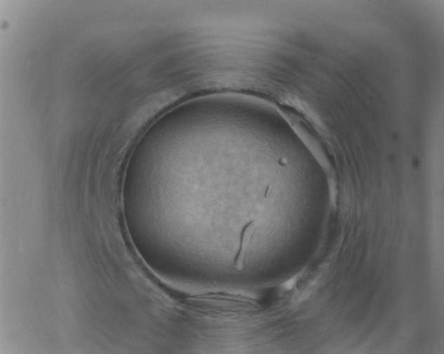 X0000063530673200601271902