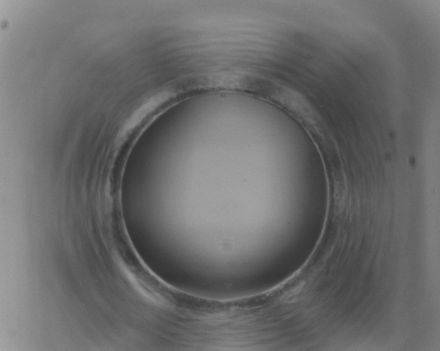 X0000063530674200601271902