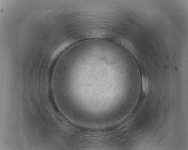 X0000063530675200601271902