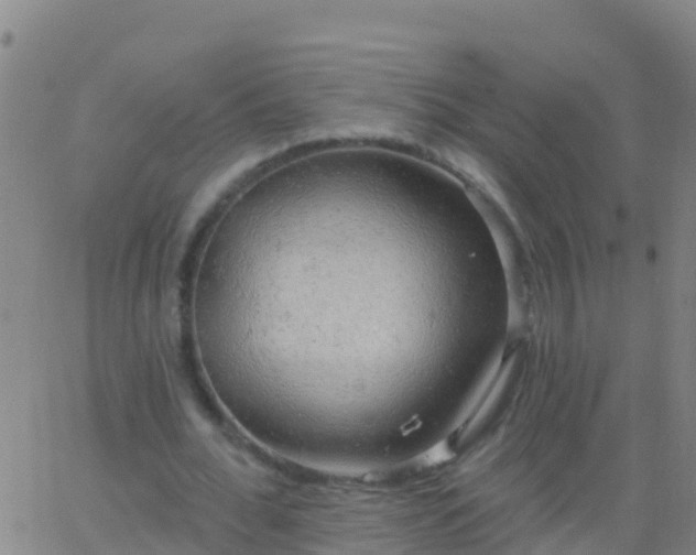 X0000063530676200601271902