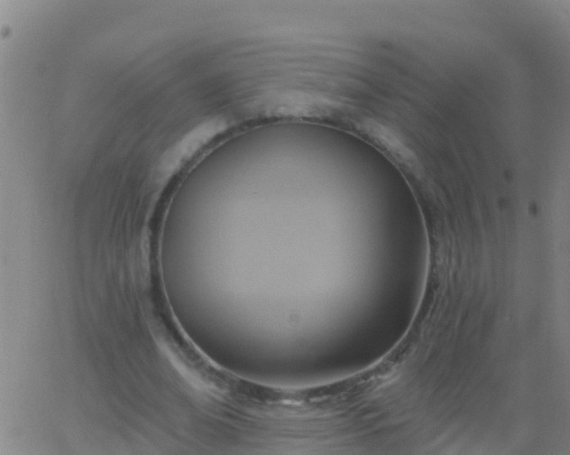 X0000063530678200601271902