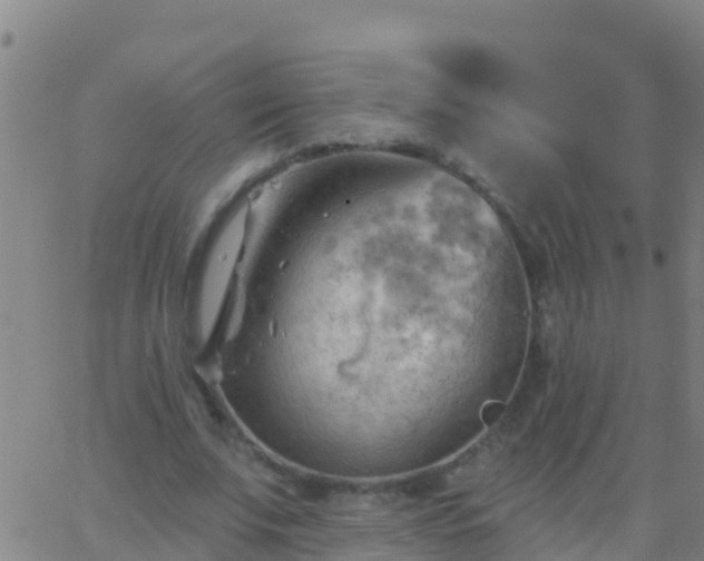 X0000063530679200601271901