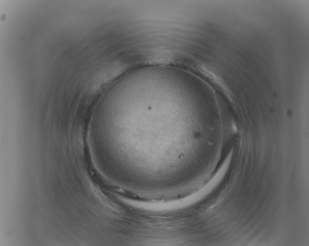 X0000063530681200601271901