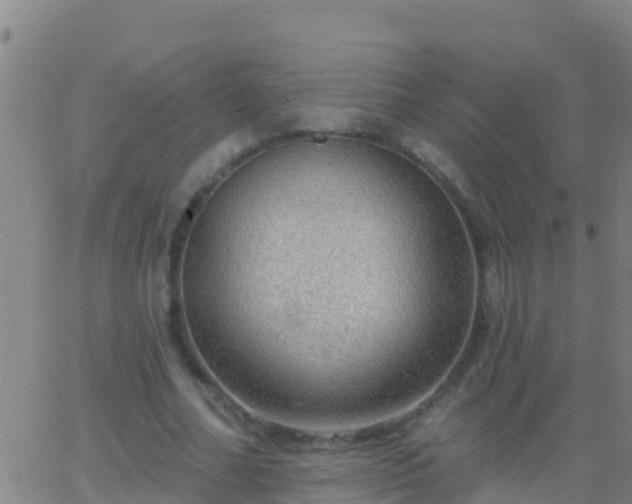 X0000063530682200601271901