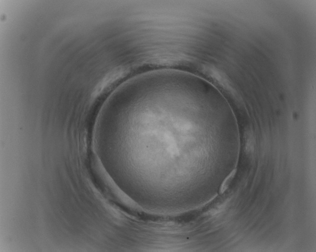 X0000063530685200601271901