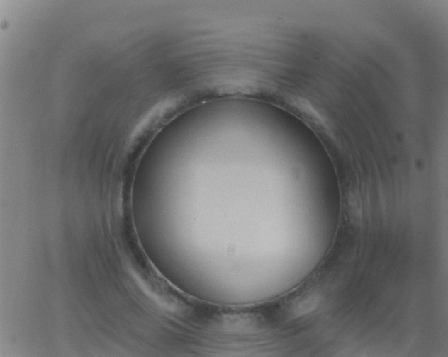 X0000063530686200601271901