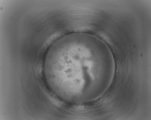 X0000063530687200601271901